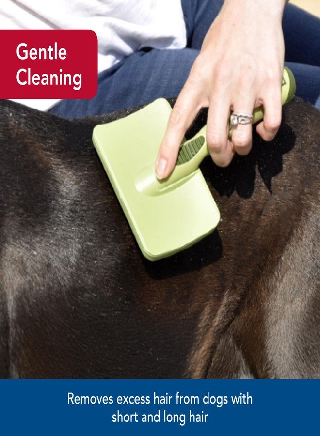 Coastal Pet Safari Dog Soft Slicker Brush - Dog Grooming Brush for Shedding - for Dogs with Short, Medium and Long Hair - Medium - 6.25" x 3.5" - Image 3